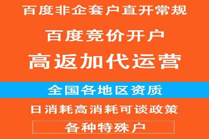 成功案例：一家企业如何通过百度关键词推广实现业绩翻倍